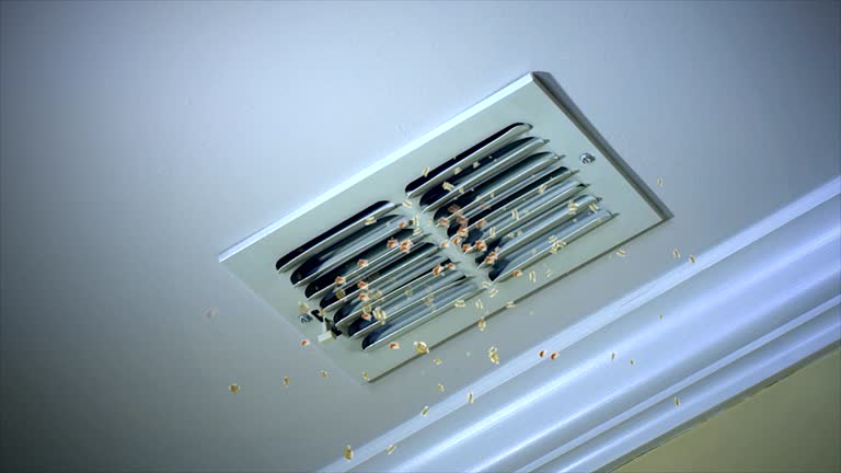 Best Professional Duct Cleaning Services  in Spring Glen, UT